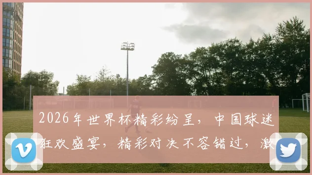 2026年世界杯精彩纷呈，中国球迷狂欢盛宴，精彩对决不容错过，激情四溢