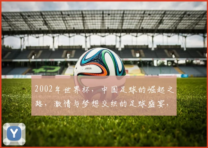 2002年世界杯，中国足球的崛起之路，激情与梦想交织的足球盛宴，精彩回顾