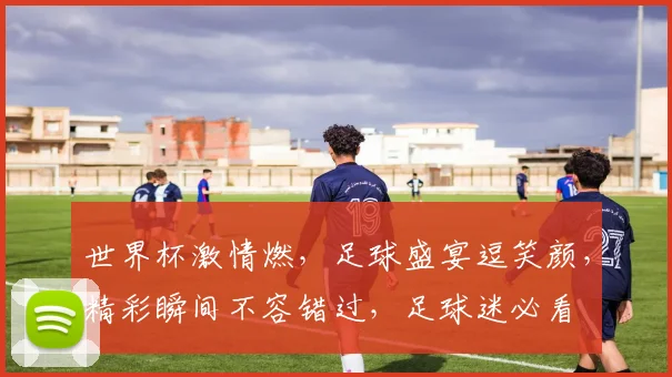 世界杯激情燃，足球盛宴逗笑颜，精彩瞬间不容错过，足球迷必看