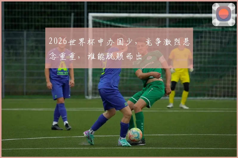 2026世界杯申办国少，竞争激烈悬念重重，谁能脱颖而出