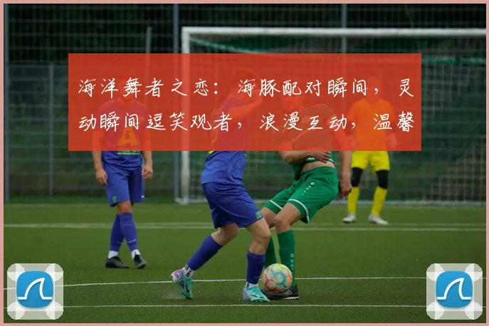 海洋舞者之恋：海豚配对瞬间，灵动瞬间逗笑观者，浪漫互动，温馨一幕三逗逗