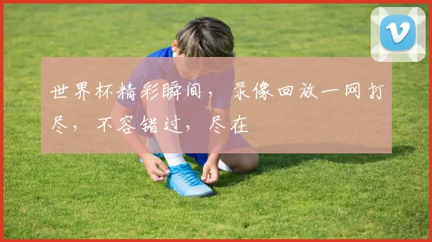 世界杯精彩瞬间，录像回放一网打尽，不容错过，尽在